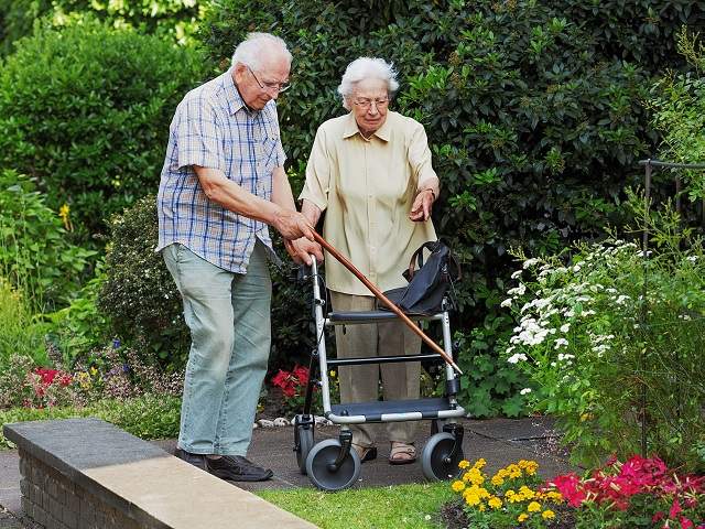 Erfreuen Sie sich zu jeder Jahreszeit an Ihrem gepflegten Garten!