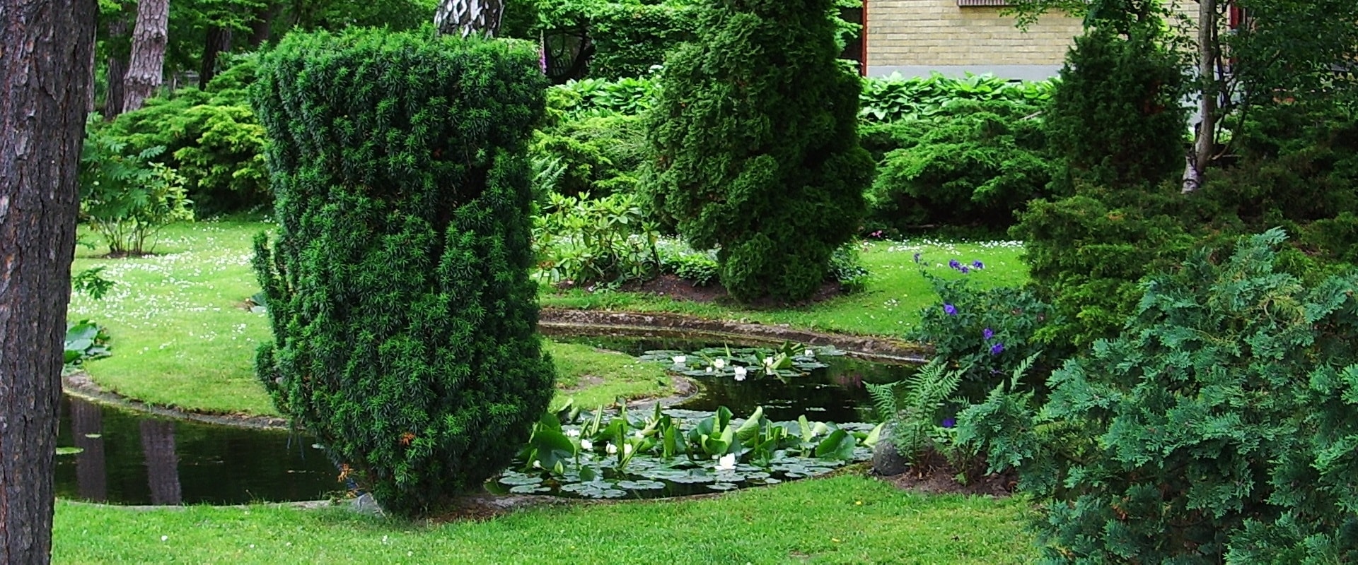 Gartenanlagen, Grünanlagen und Teiche - Natur zum Wohlfühlen bei Ihnen zuhause. Jetzt zum Traumgarten mit Hebbecker Garten- und Landschaftsbau.