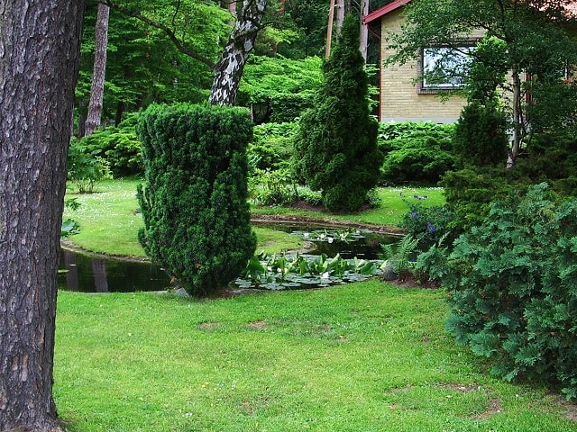 Grünanlagen und Teiche. Hebbeckker Galabau in Lennestadt kümmert sich um Konzept und Umsetzung.