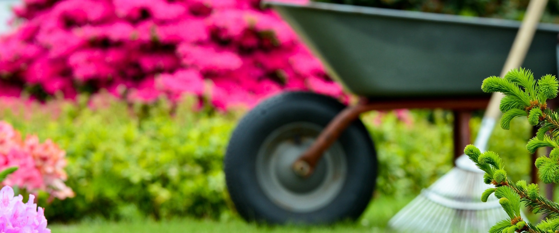 Planung und Umsetzung Ihrer Außenanlagen oder Garten-Arbeit im Rahmen der Pflege Ihres Traumgartens? Kontaktieren Sie uns bei Hebbecker Garten- und Landschaftsbau.