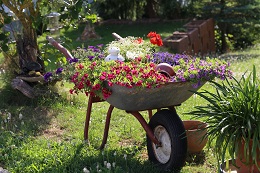 Pflanzplanung in Lennestadt und Umgebung von Hebbecker Garten- und Landschaftsbau