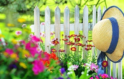 Lassen Sie sich von uns die bunte Vielfalt einer möglichen Gartengestaltung in Lennestadt aufzeigen.